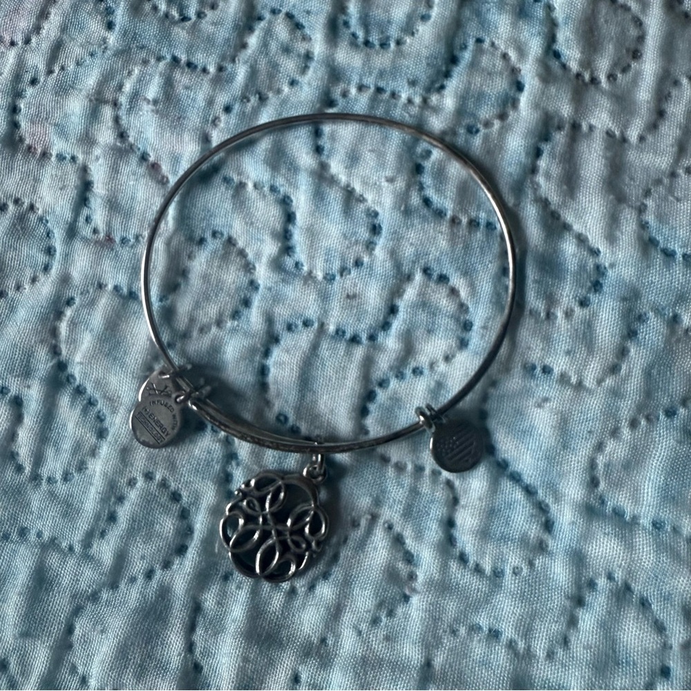 Alex and Ani Path of Life Charm Bracelet - Picture 3 of 10